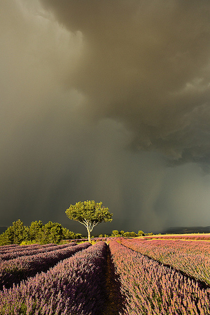 outdoormagic:  On the Edge of the Storm by PatT&amp;5 on Flickr.