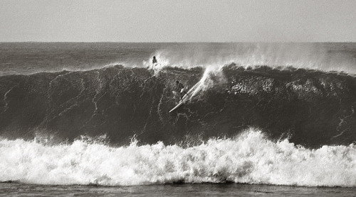 Miki Dora in the first Duke Kahanamoku Invitational Surfing Championships, at Sunset Beach, Hawaii, 