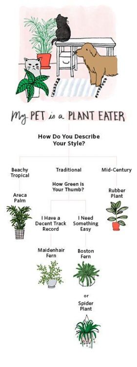 Funny way to find out which plant you might like to buy.Source: apartmenttherapy.com
