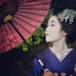 geisha-kai:  Maiko Koyoshi of Miyagawacho