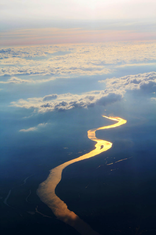expressions-of-nature:  Gold River | Liza Stolz 