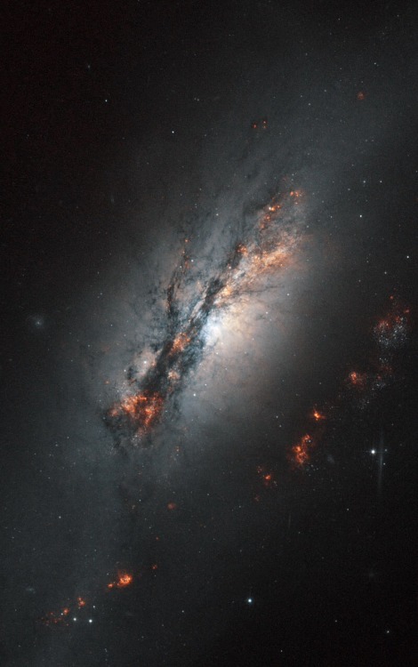 thedemon-hauntedworld:NGC 2146A galaxy being stretched out of shape has been imaged by the NASA/ESA 