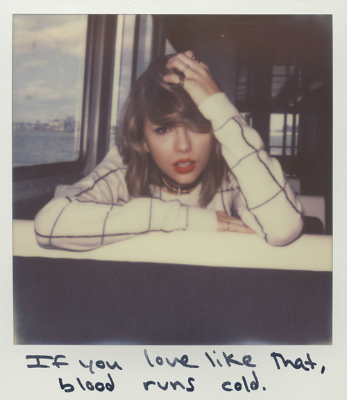 emxlyisdead:  taylor   favorite lyrics(if you click on them they’re better quality.