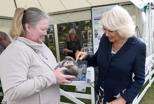 The Prince of Wales and The Duchess Of Cornwall visit The Great Yorkshire Showground, Harrogate, 14.