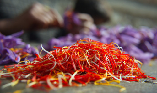 huffposttaste:Just a beautiful reminder of where saffron comes from (and why it’s so freaking expens
