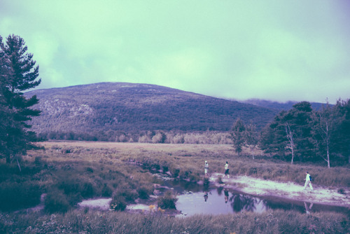 Out on the Trail in Acadia National ParkDan DonnarummaInstagram l Tumblr