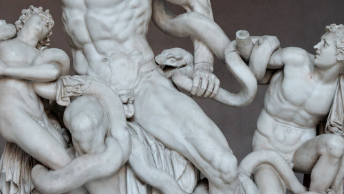 escapejournal:David (Michelangelo)Laocoön and His SonsPietà (Michelangelo)Moses (Michela