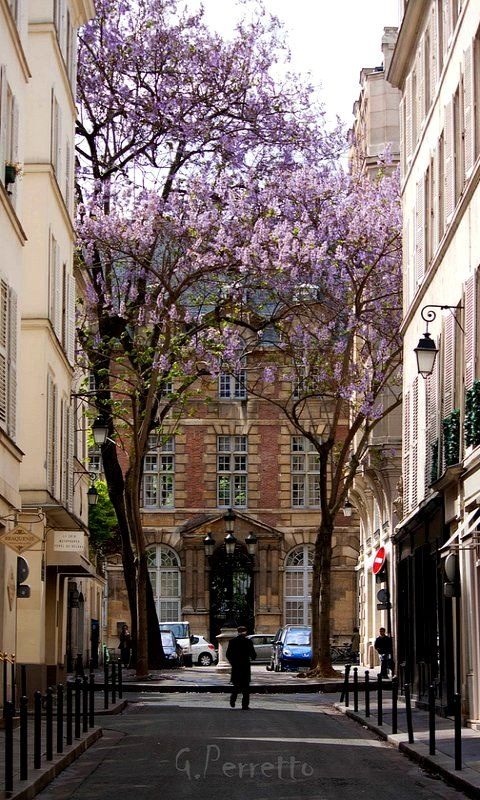 audreylovesparis:  Place Furstenburg, Paris   Someone run away with meee.