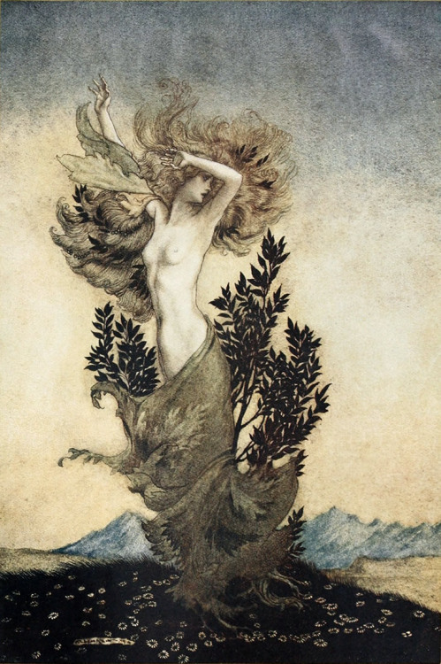 cirdan1305:Arthur Rackham WeekFriday is Comus by John Milton published 1922  - 11This is my personal