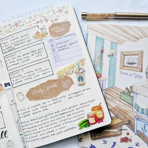lilacpancakejournal:  Close-up for my study goals!  On monday I had an exam so I decided to write do