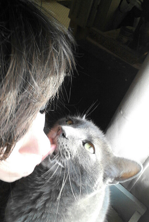 whowasntthere: Kitten Kiss-Off Konstantin was enjoying the warmer, sunnier weather today on our wind