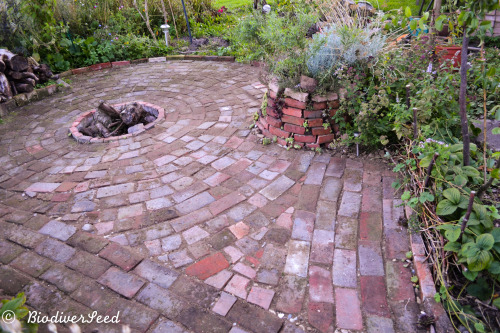 biodiverseed:New, improved and finally finished:The firepit and herb spiralI started building this a