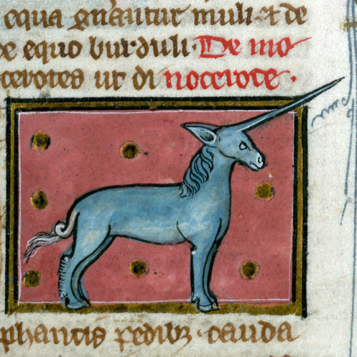 discardingimages:wild unicornThomas of Cantimpré, Liber de natura rerum, France ca. 1290Valen