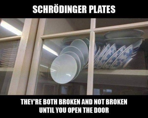 Finally I understood &ldquo;Schrödinger’s cat&rdquo;.