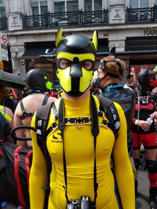 puppixel:Some pics from this year’s London Pride