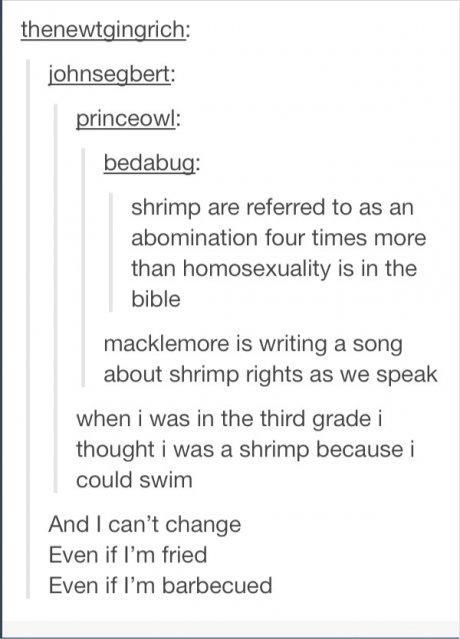 itsstuckyinmyhead:  Tumblr and Music 