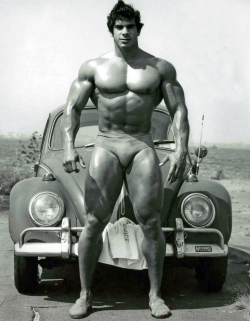 musclegods2:  Lou Ferrigno : One of the most handsome bodybuilders ever. View All Posts Of Lou Ferrigno 