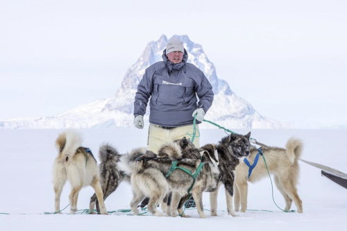 darkwood-sleddog:Greenland Dogs from the Greenland Fiord Tours team 