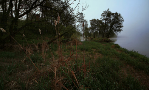 misty morning on the river by Józef Cesarz