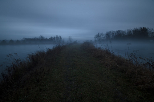 Evening fog by coneslayer on Flickr.