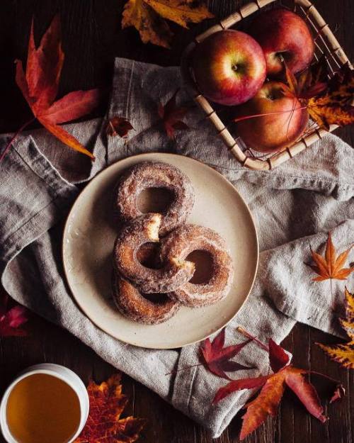 pumpkin-spice-lattes:Cozy Autumn Blog