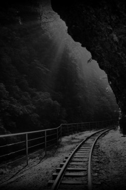 fear-without-hope:  fear-without-hope &gt; my posts here Forest Tracks, Columbia Gorge, Oregon  