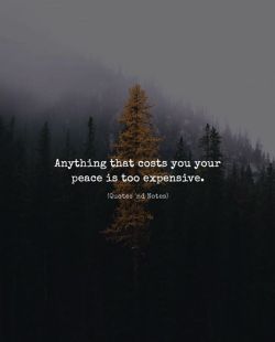 Quotesndnotes: Anything That Costs You Your Peace Is Too Expensive. —Via Http://Ift.tt/2Ey7Hg4Lesson