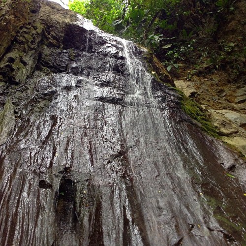 grassrootsvegan:  Exploring in Costa Rica #rainforest #nature #hiking #naturewalk #tropical #rainfor