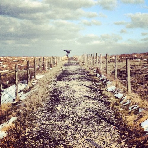 instagram:  The Singing Ringing Tree of Lancashire, adult photos