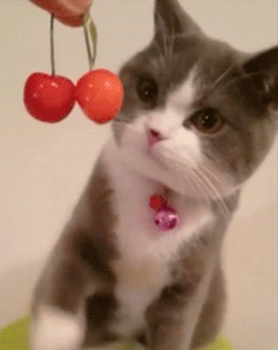 Cwunch:  ♡ 