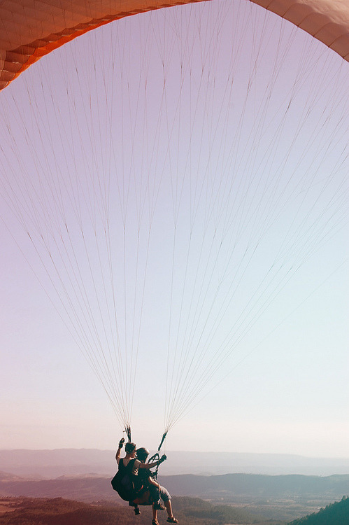 SummerDreamz