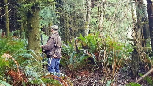 Bigfoot Scouting a remote location in Oregon last weekend.  I call it the Ape Forest.  New book comi