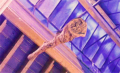  Harry Potter ~ Eight Films [1/8]  Harry Potter and the Philosopher’s Stone  
