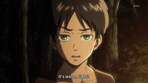 Shingeki No Kyojin [Attack On Titan]