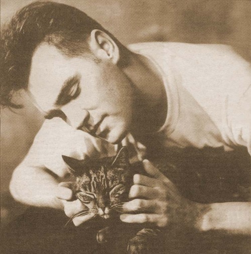 Morrissey