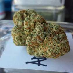 weedporndaily:  Adonis 😍 by @doworkson1992