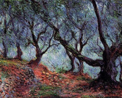 artist-monet:  Grove of Olive Trees in Bordighera,