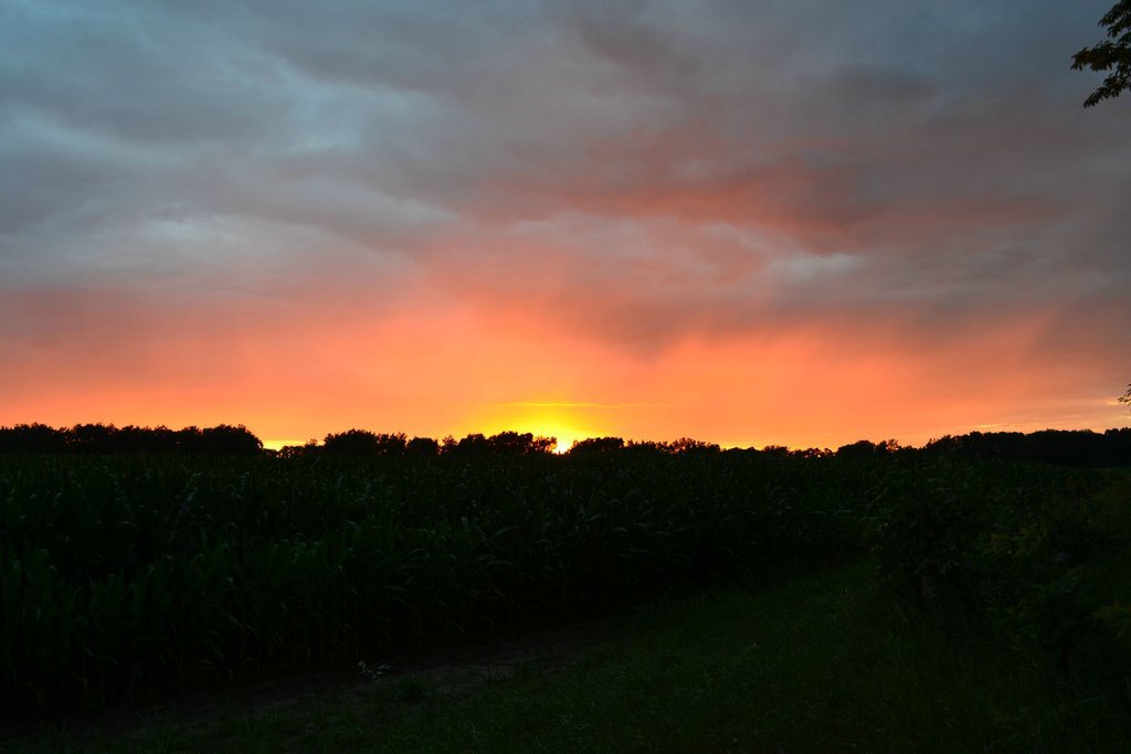 Sunset over a cornfield near Albion, Michigan [4608, 3072] [OC]
http://living-planet.tumblr.com/