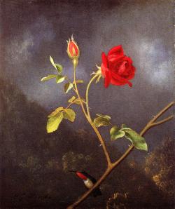 dappledwithshadow:  Martin Johnson Heade