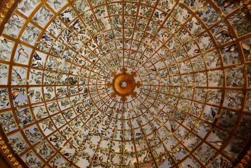 echiromani:Trompe-l’oeil ceiling with trellis, vines, and birds, and in the center a roundel with th