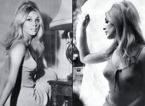 65eatonplace:Sharon Tate photographed by Terry Disney at her London apartment 1965