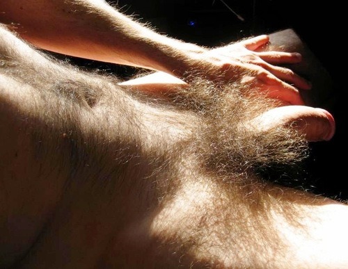 harryperers:  Look at how the sun shines on those pubes