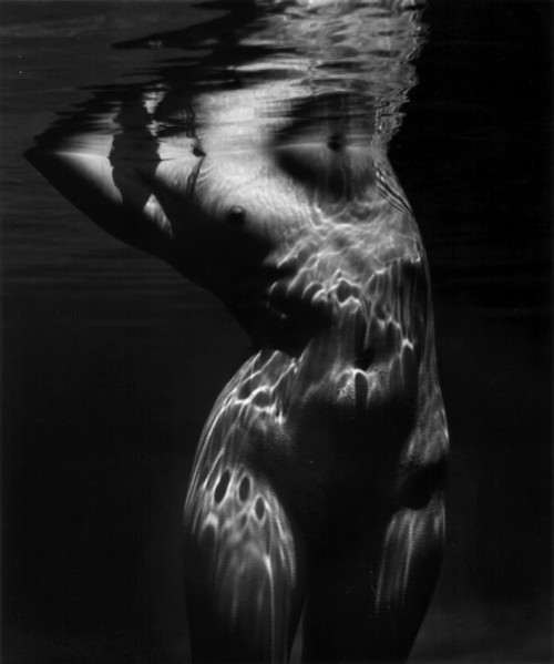 Porn Pics inneroptics:  Brett Weston 