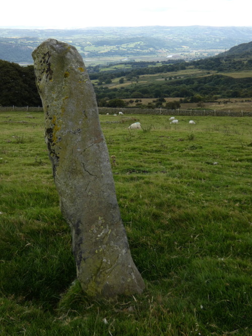 Ffon-y-Cawr ‘The Giant’s Staff’ Standing Stone, Conwy, 4.8.17. Legend has it that 