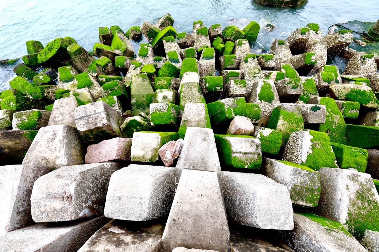 squall1981: Moss and Stone 