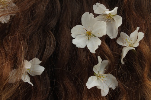 thc-kittyy:  macro shots of my curls 