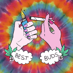 potorweed:  Best buds marijuana gif