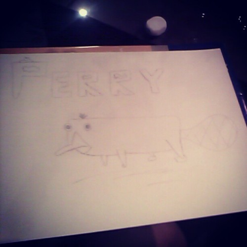 meu Perry ficou um cocô kkkkk