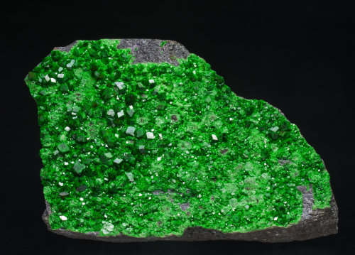 Uvarovite - Saranovskii Mine, Saranovskaya (Sarany), Gornozavodskii, Permskaya Oblast&rsquo;, Mi