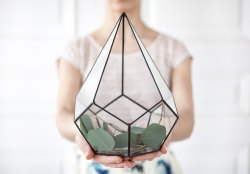 culturenlifestyle:Geometric Glass Terrariums by Julia Silber Ukrainian artist Juila SIlber is the founder, designer and worker of the cozy, design studio Serious Aloe. Inspired by glass, minimalism and geometry, Silber’s handmade pieces are meant to